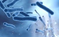 Trinkwasserhygiene und Vorbeugung von wassergebundenen Infektionen